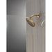 52101-CZ-PR Bathroom/Bathroom Tub & Shower Faucets/Showerheads