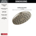52101-SS-PR Bathroom/Bathroom Tub & Shower Faucets/Showerheads