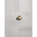 55100-CZ-PR Bathroom/Bathroom Tub & Shower Faucets/Handshower Outlets & Adapters