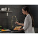 9659-PN-DST Kitchen/Kitchen Faucets/Pull Down Spray Faucets