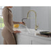 9659TL-PN-DST Kitchen/Kitchen Faucets/Pull Down Spray Faucets