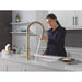 9684-CZ-PR-DST Kitchen/Kitchen Faucets/Pull Down Spray Faucets