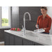 9684-PR-DST Kitchen/Kitchen Faucets/Pull Down Spray Faucets