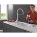 9684-PR-DST Kitchen/Kitchen Faucets/Pull Down Spray Faucets