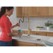 9684TLCZ-PR-DST Kitchen/Kitchen Faucets/Pull Down Spray Faucets