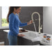 9684TLPN-PR-DST Kitchen/Kitchen Faucets/Pull Down Spray Faucets