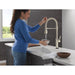 9684TLPN-PR-DST Kitchen/Kitchen Faucets/Pull Down Spray Faucets