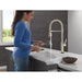 9684TLPN-PR-DST Kitchen/Kitchen Faucets/Pull Down Spray Faucets