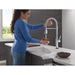 9684TLPR-DST Kitchen/Kitchen Faucets/Pull Down Spray Faucets