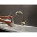 9959-PNLS-DST Kitchen/Kitchen Faucets/Bar & Prep Faucets