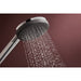 24512001001 Bathroom/Bathroom Tub & Shower Faucets/Handshowers