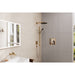 24512141141 Bathroom/Bathroom Tub & Shower Faucets/Handshowers
