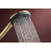 24512141141 Bathroom/Bathroom Tub & Shower Faucets/Handshowers