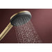 24512141141 Bathroom/Bathroom Tub & Shower Faucets/Handshowers