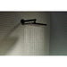 28739671 Bathroom/Bathroom Tub & Shower Faucets/Showerheads
