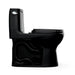 MS603113CEF#51 Bathroom/Toilets Bidets & Bidet Seats/One Piece Toilets