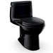 MS603113CEF#51 Bathroom/Toilets Bidets & Bidet Seats/One Piece Toilets