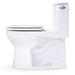 MS603113CEFRG#01 Bathroom/Toilets Bidets & Bidet Seats/One Piece Toilets