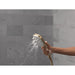 74B430CZ Bathroom/Bathroom Tub & Shower Faucets/Handshowers