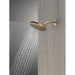 75104CZ Bathroom/Bathroom Tub & Shower Faucets/Showerheads