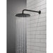 52162-BL Bathroom/Bathroom Tub & Shower Faucets/Showerheads