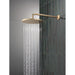52162-CZ-PR Bathroom/Bathroom Tub & Shower Faucets/Showerheads