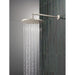 52162-SS-PR Bathroom/Bathroom Tub & Shower Faucets/Showerheads