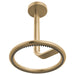 813110-GL Bathroom/Bathroom Tub & Shower Faucets/Showerheads