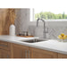 9885AR-PR-DST Kitchen/Kitchen Faucets/Bar & Prep Faucets