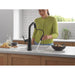 9885TLBL-DST Kitchen/Kitchen Faucets/Bar & Prep Faucets