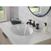 H295BLBL Parts & Maintenance/Bathroom Sink & Faucet Parts/Bathroom Sink Faucet Handles & Handle Parts