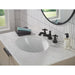 H295BLBL Parts & Maintenance/Bathroom Sink & Faucet Parts/Bathroom Sink Faucet Handles & Handle Parts