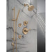 T11945-CZ-PR Bathroom/Bathroom Tub & Shower Faucets/Tub & Shower Diverters & Volume Controls