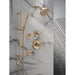 T14245-CZ-PR Bathroom/Bathroom Tub & Shower Faucets/Shower Only Faucet Trim