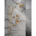T14245-CZ-PR Bathroom/Bathroom Tub & Shower Faucets/Shower Only Faucet Trim