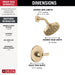 T14262-CZ Bathroom/Bathroom Tub & Shower Faucets/Shower Only Faucet Trim