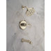 T14445-PN-PR Bathroom/Bathroom Tub & Shower Faucets/Tub & Shower Faucet Trim
