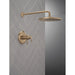 T17T245-CZ-PR Bathroom/Bathroom Tub & Shower Faucets/Shower Only Faucet Trim