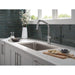 9085-AR-PR-DST Kitchen/Kitchen Faucets/Pull Down Spray Faucets