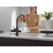 9085TL-BL-DST Kitchen/Kitchen Faucets/Pull Down Spray Faucets