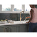 9085TL-CZ-PR-DST Kitchen/Kitchen Faucets/Pull Down Spray Faucets