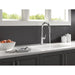 9185-AR-PR-DST Kitchen/Kitchen Faucets/Pull Down Spray Faucets