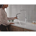 9185-PR-DST Kitchen/Kitchen Faucets/Pull Down Spray Faucets