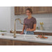 9185TL-CZ-PR-DST Kitchen/Kitchen Faucets/Pull Down Spray Faucets