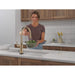 9185TL-CZ-PR-DST Kitchen/Kitchen Faucets/Pull Down Spray Faucets