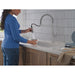 9685-AR-PR-DST Kitchen/Kitchen Faucets/Pull Down Spray Faucets
