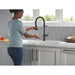 9685-BL-DST Kitchen/Kitchen Faucets/Pull Down Spray Faucets