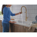 9685-CZ-PR-DST Kitchen/Kitchen Faucets/Pull Down Spray Faucets