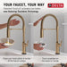 9685TL-CZ-PR-DST Kitchen/Kitchen Faucets/Pull Down Spray Faucets