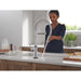 9685TL-PR-DST Kitchen/Kitchen Faucets/Pull Down Spray Faucets